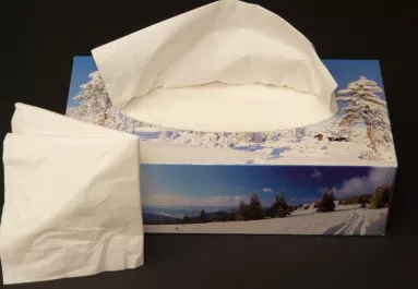 Milyen papírtermékekre lehet szükség egy háztartásban?